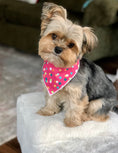 Load image into Gallery viewer, Pink Polka Dog Bandana
