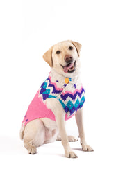 Pink Ski Bum Dog Sweater