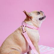 Frenchie Comfort Collar - Solid Pink Bubblegum