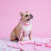 Frenchie Comfort Collar - Solid Pink Bubblegum