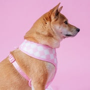 Frenchie Duo Reversible Harness - Pink Bubblegum