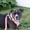 Load image into Gallery viewer, Pink Camo Martingale
