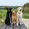Load image into Gallery viewer, Pink Madras Dog Collar

