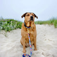 Load image into Gallery viewer, Pink Madras Dog Lead
