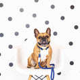 Load image into Gallery viewer, Tatum Rope Dog Leash
