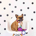 Load image into Gallery viewer, Harper Waste Bag Holder & Treat Pouch
