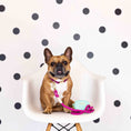 Load image into Gallery viewer, Leilani Waste Bag Holder & Treat Pouch
