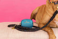 Load image into Gallery viewer, Hudson Waste Bag Holder & Treat Pouch
