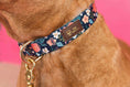 Load image into Gallery viewer, Riley Dog Collar
