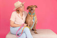 Load image into Gallery viewer, Marley Rope Dog Leash
