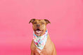 Load image into Gallery viewer, Delilah Dog Bandana
