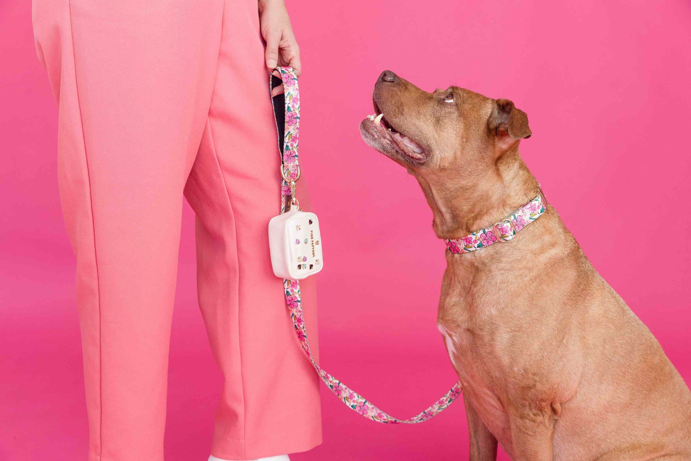 Gianna Dog Leash