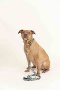 Load image into Gallery viewer, Beckett Dog Collar

