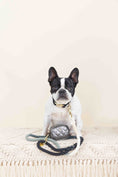 Load image into Gallery viewer, Cairo Rope Dog Leash
