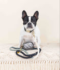 Load image into Gallery viewer, Melissa Waste Bag Holder & Treat Pouch
