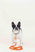 Load image into Gallery viewer, Cora Rope Dog Leash
