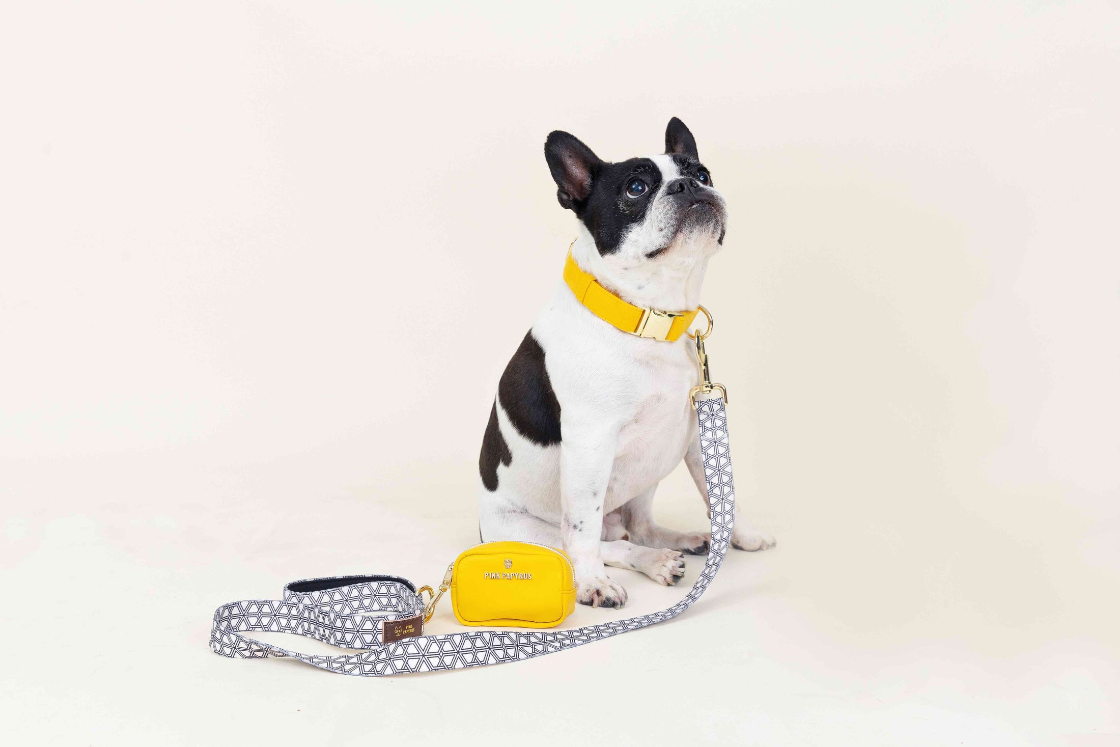 Avery Dog Leash