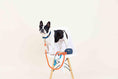 Load image into Gallery viewer, Reese Dog Bandana
