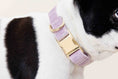 Load image into Gallery viewer, Billie Dog Collar
