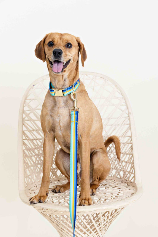 Milo Dog Leash