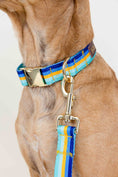 Load image into Gallery viewer, Milo Dog Collar
