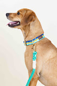 Load image into Gallery viewer, Milo Dog Collar
