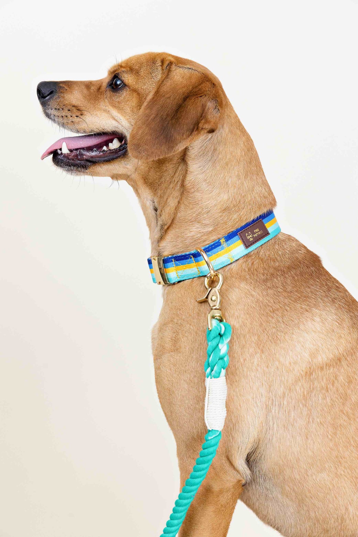 Milo Dog Collar