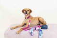 Load image into Gallery viewer, Eden Dog Bandana
