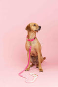 Load image into Gallery viewer, Maggie Rope Dog Leash
