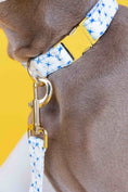 Load image into Gallery viewer, Drew Dog Collar
