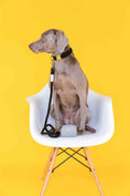 Load image into Gallery viewer, Frankie Waste Bag Holder & Treat Pouch
