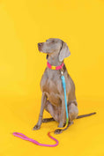 Load image into Gallery viewer, Marley Rope Dog Leash
