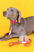 Load image into Gallery viewer, Cora Rope Dog Leash
