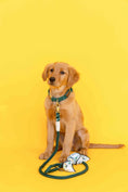 Load image into Gallery viewer, Cosette Dog Bandana

