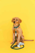 Load image into Gallery viewer, Sam Rope Dog Leash

