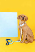 Load image into Gallery viewer, Kennedy Rope Dog Leash
