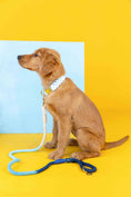 Load image into Gallery viewer, Kennedy Rope Dog Leash
