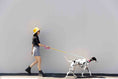 Load image into Gallery viewer, Marley Rope Dog Leash
