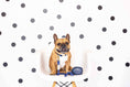 Load image into Gallery viewer, Reagan Waste Bag Holder & Treat Pouch

