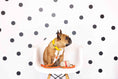 Load image into Gallery viewer, Adele Waste Bag Holder & Treat Pouch
