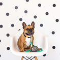 Load image into Gallery viewer, Ariel Rope Dog Leash
