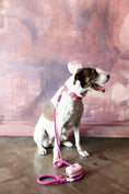 Load image into Gallery viewer, Christine Rope Dog Leash
