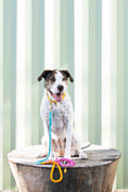 Load image into Gallery viewer, Marley Rope Dog Leash
