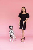 Load image into Gallery viewer, Avery Dog Leash
