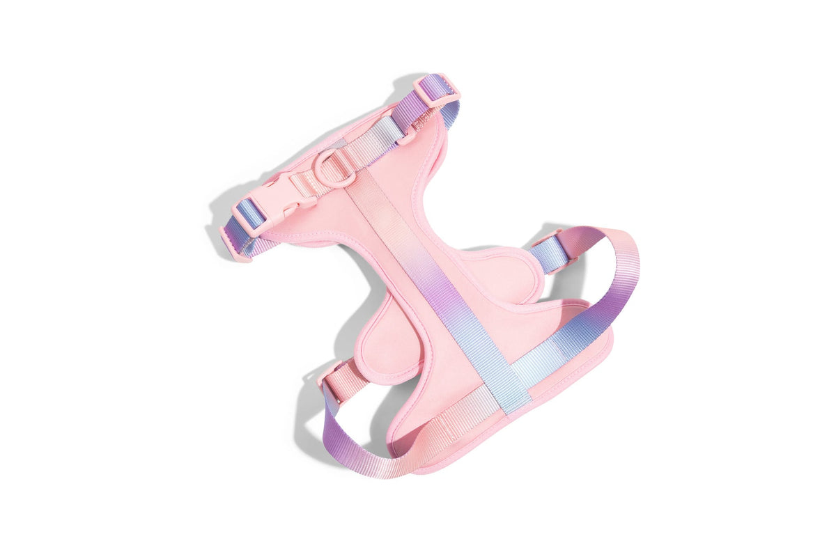 Diem Dog Harness