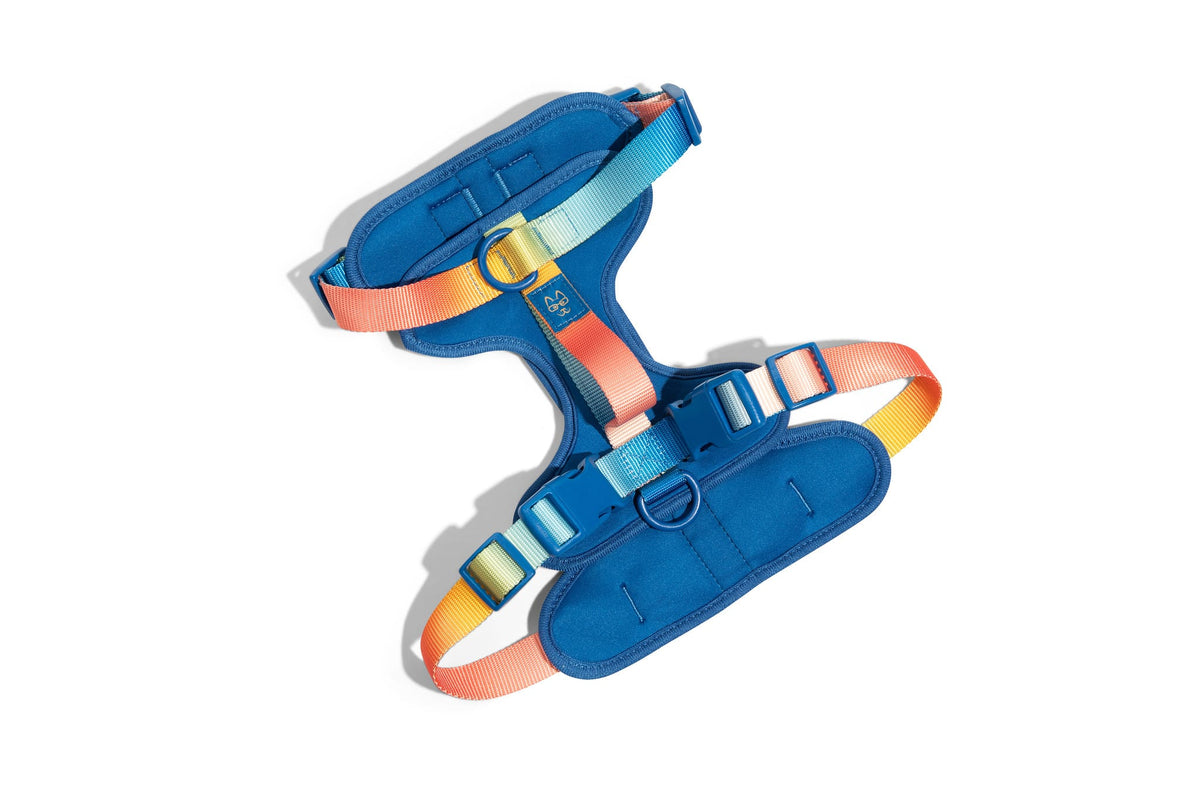 Atlas Dog Harness