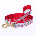 Load image into Gallery viewer, Up Country Pink Pines Cast Brass Dog Leash
