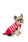 Load image into Gallery viewer, Katie Alpaca Stripe Dog Sweater
