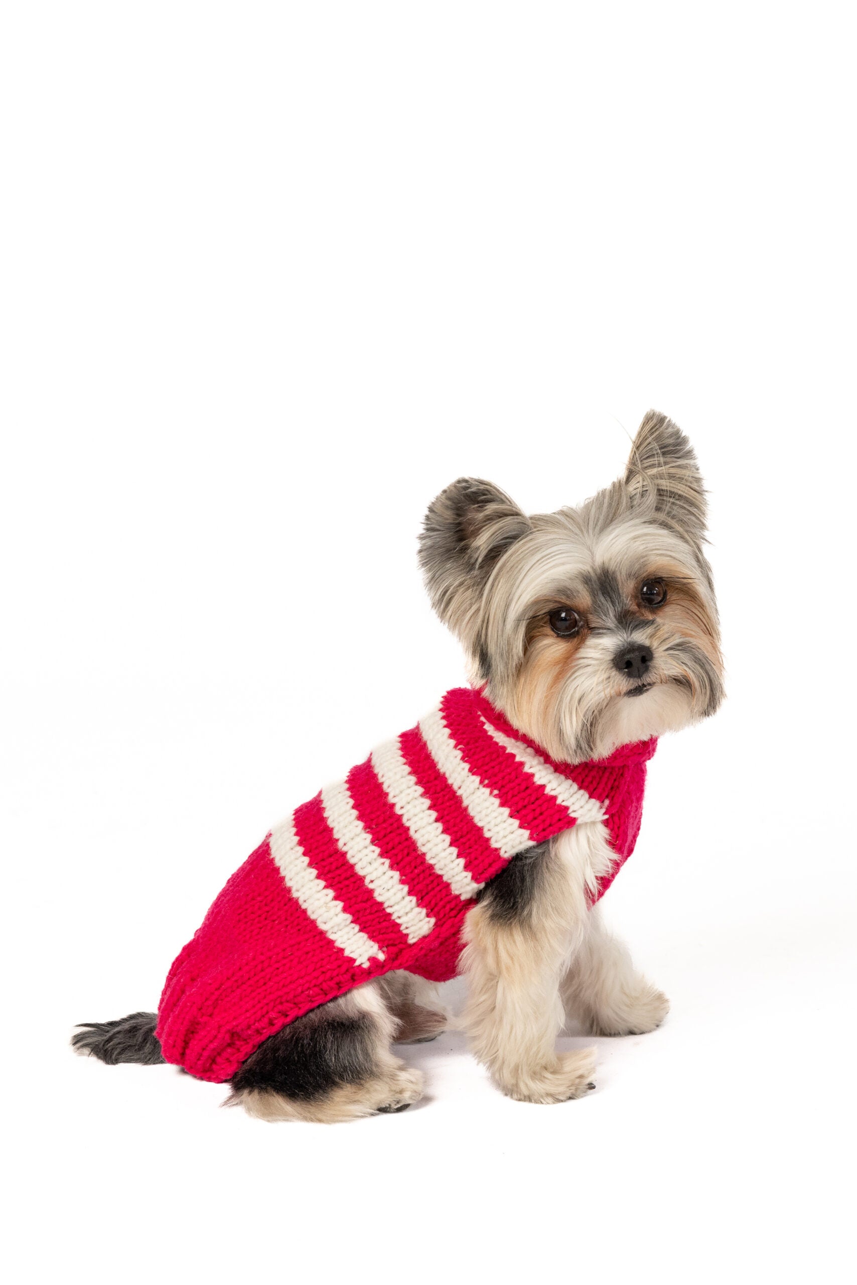 Katie Alpaca Stripe Dog Sweater