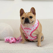 Frenchie Duo Reversible Harness - Pink Bows